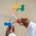 Science Fair